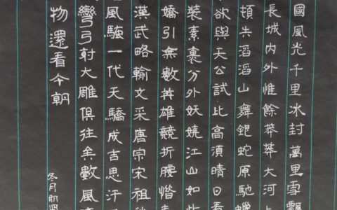 毛泽东《沁园春雪》钢笔字笔友习作欣赏