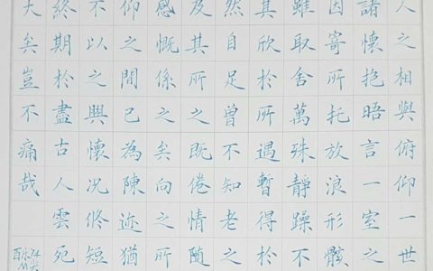 王羲之《兰亭集序》选段钢笔字笔友习作欣赏