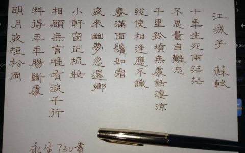 苏轼《江城子》钢笔字笔友习作欣赏