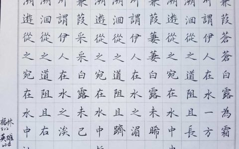 诗经《蒹葭》钢笔字笔友习作欣赏