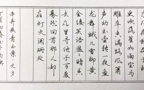 辛弃疾《青玉案.元夕》笔友钢笔字习作欣赏