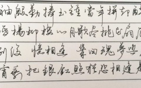 晏几道《鹧鸪天》笔友钢笔字习作欣赏