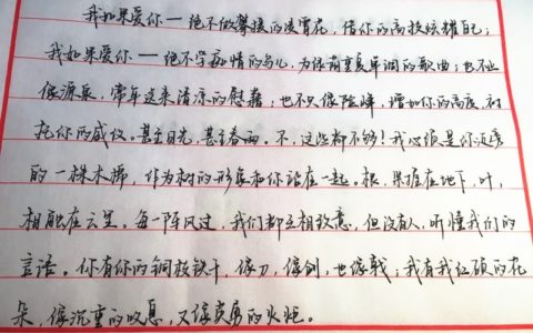 舒婷《致橡树》钢笔字笔友习作欣赏