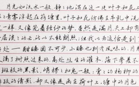朱自清《荷塘月色》选段钢笔字笔友习作欣赏