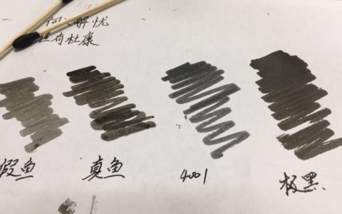 鲇鱼永恒黑钢笔墨水淘宝货跟海淘货对比