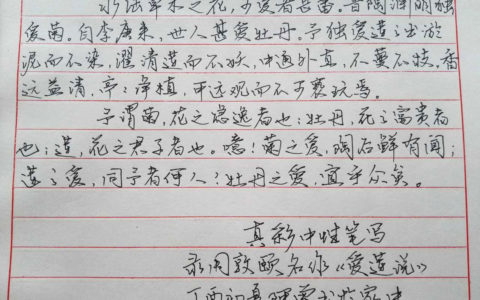 周敦颐《爱莲说》钢笔字笔友习作欣赏