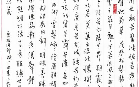 曹植《洛神赋》钢笔字笔友习作欣赏