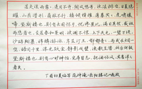 范仲淹《岳阳楼记》钢笔字笔友习作欣赏