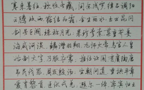 《千字文》手写钢笔字笔友钢笔书法习作欣赏