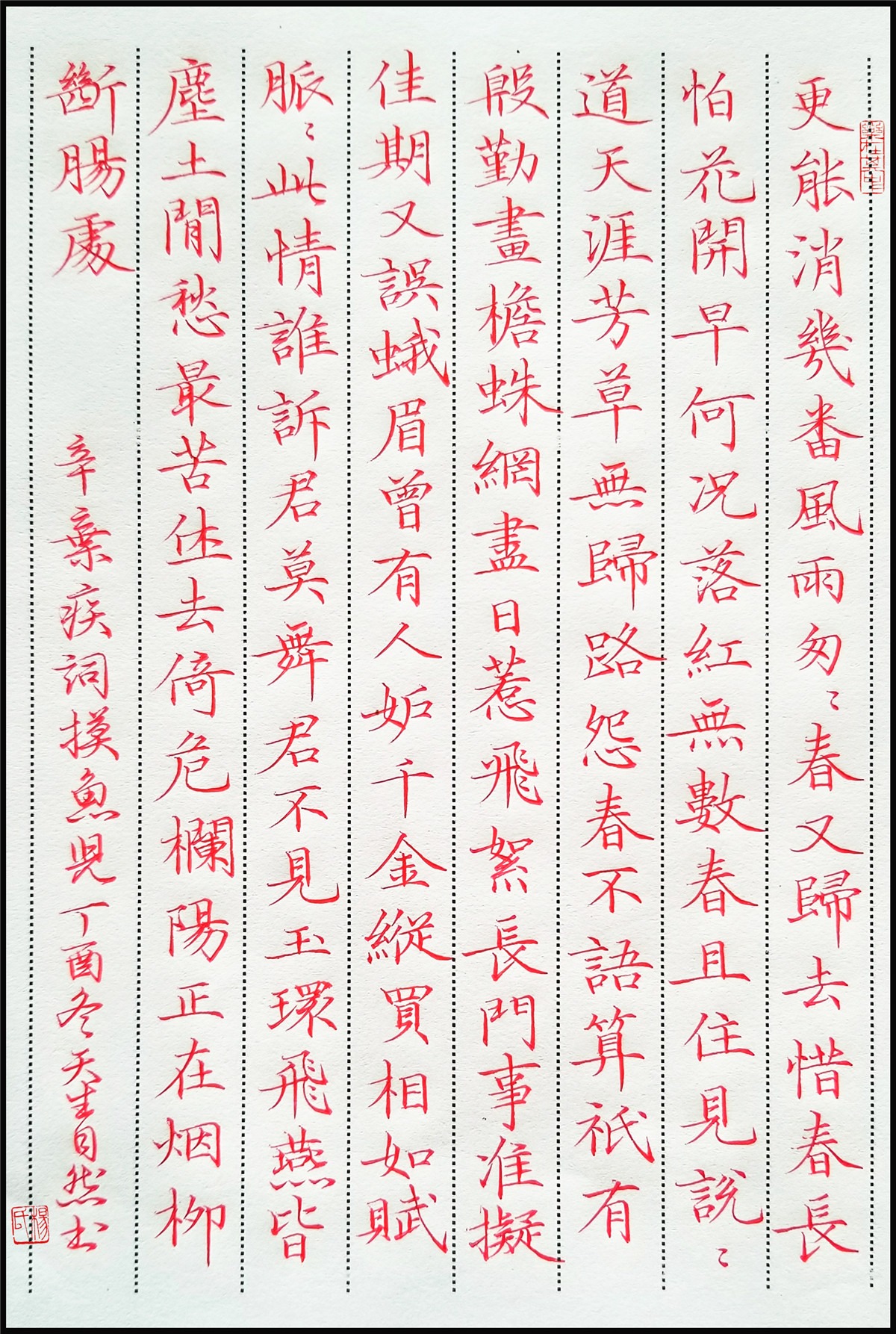辛弃疾《摸鱼儿》手写钢笔字笔友钢笔书法习作欣赏