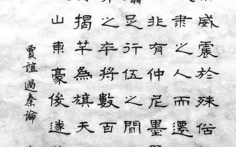 贾谊《过秦论》手写钢笔字笔友钢笔书法写作欣赏