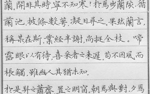 袁枚《秋兰赋》手写钢笔字笔友钢笔书法习作欣赏