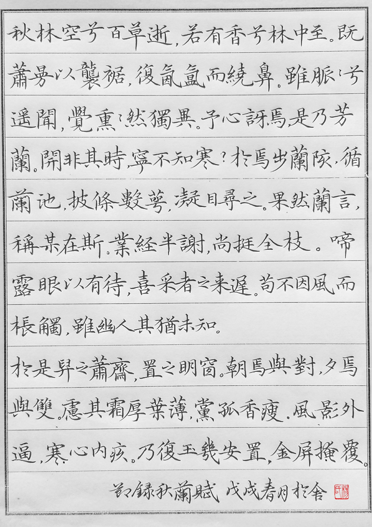 袁枚《秋兰赋》手写钢笔字笔友钢笔书法习作欣赏
