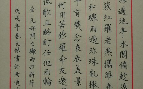 元好问《骤雨打新荷》手写钢笔字笔友钢笔书法习作欣赏