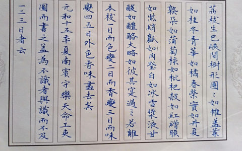白居易《荔枝图序》手写钢笔字笔友钢笔书法习作欣赏