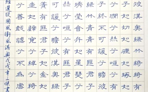 诗经《卫风.淇奥》手写钢笔字笔友钢笔书法习作欣赏