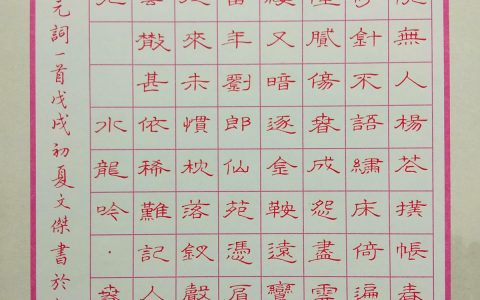 曾允元《水龙吟》手写钢笔字笔友钢笔书法习作欣赏