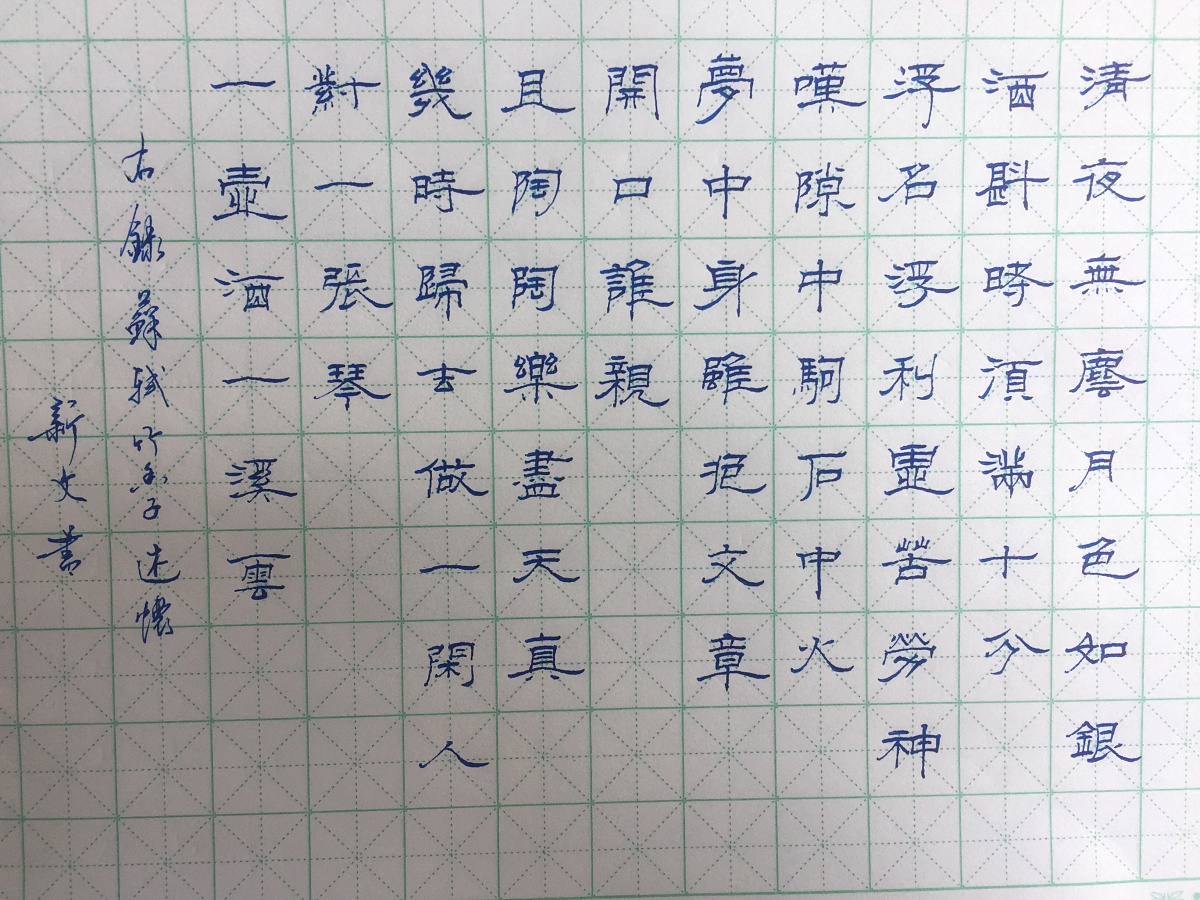 苏轼《行香子.述怀》手写钢笔字笔友钢笔书法习作欣赏