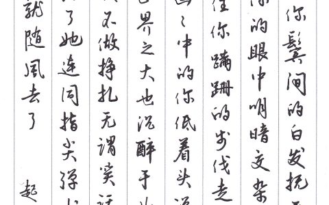 我爱抄歌词《起风了》手写钢笔字笔友钢笔书法习作欣赏