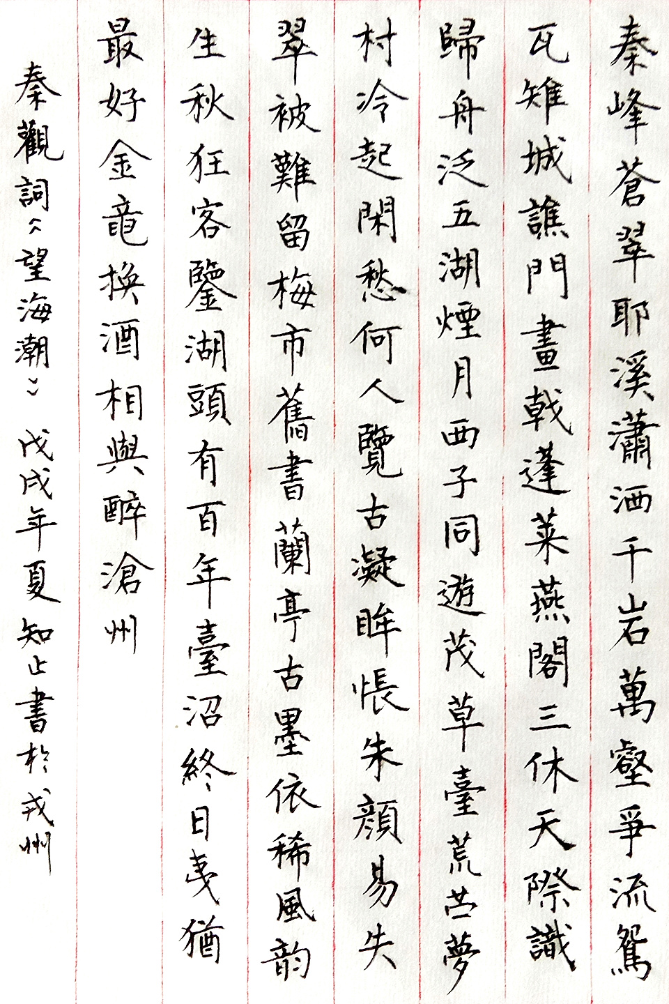 秦观《望海潮》钢笔字练习笔友钢笔书法习作欣赏