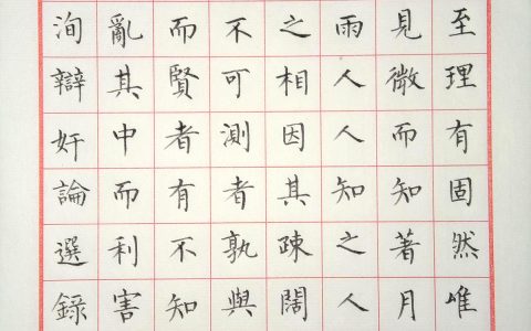 苏洵《辨奸论》手写钢笔字练习笔友钢笔书法习作欣赏