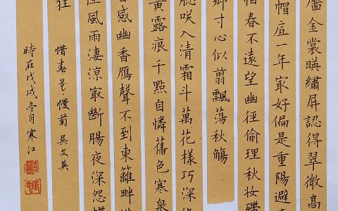 吴文英《惜黄花慢》手写钢笔字练习笔友钢笔书法习作欣赏