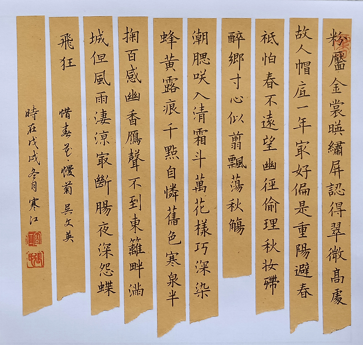 吴文英《惜黄花慢》手写钢笔字练习笔友钢笔书法习作欣赏