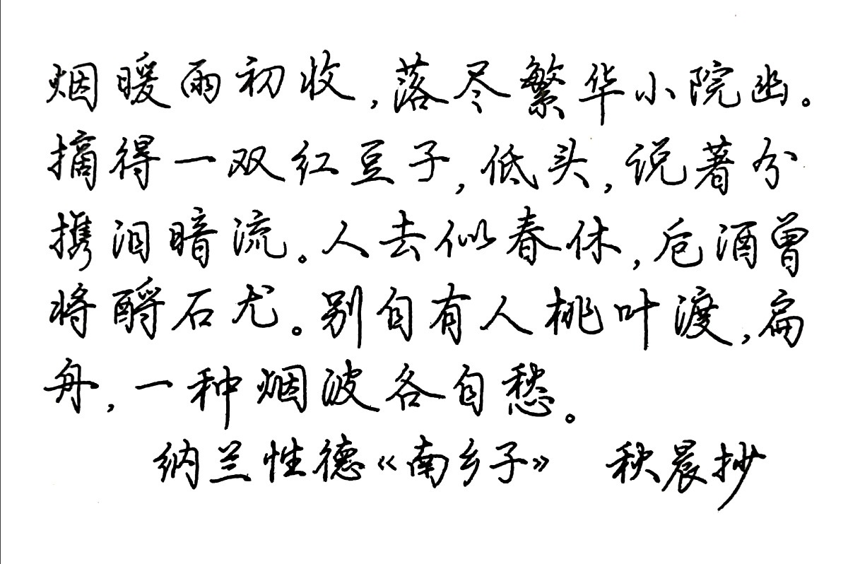 纳兰性德《南乡子》每周一篇钢笔字练习笔友钢笔书法习作欣赏