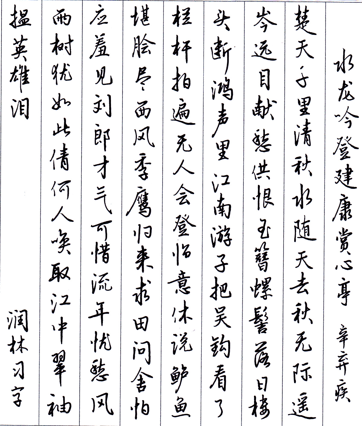 辛弃疾《水龙吟》每周一篇钢笔字练习笔友钢笔书法习作欣赏