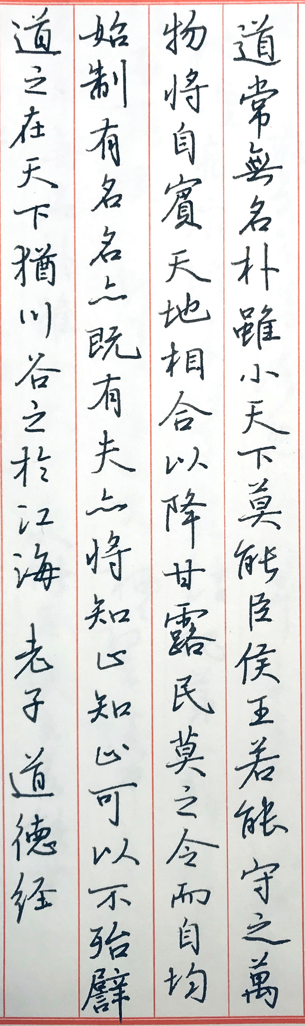 每周一篇钢笔字《道德经》选段笔友钢笔书法习作欣赏