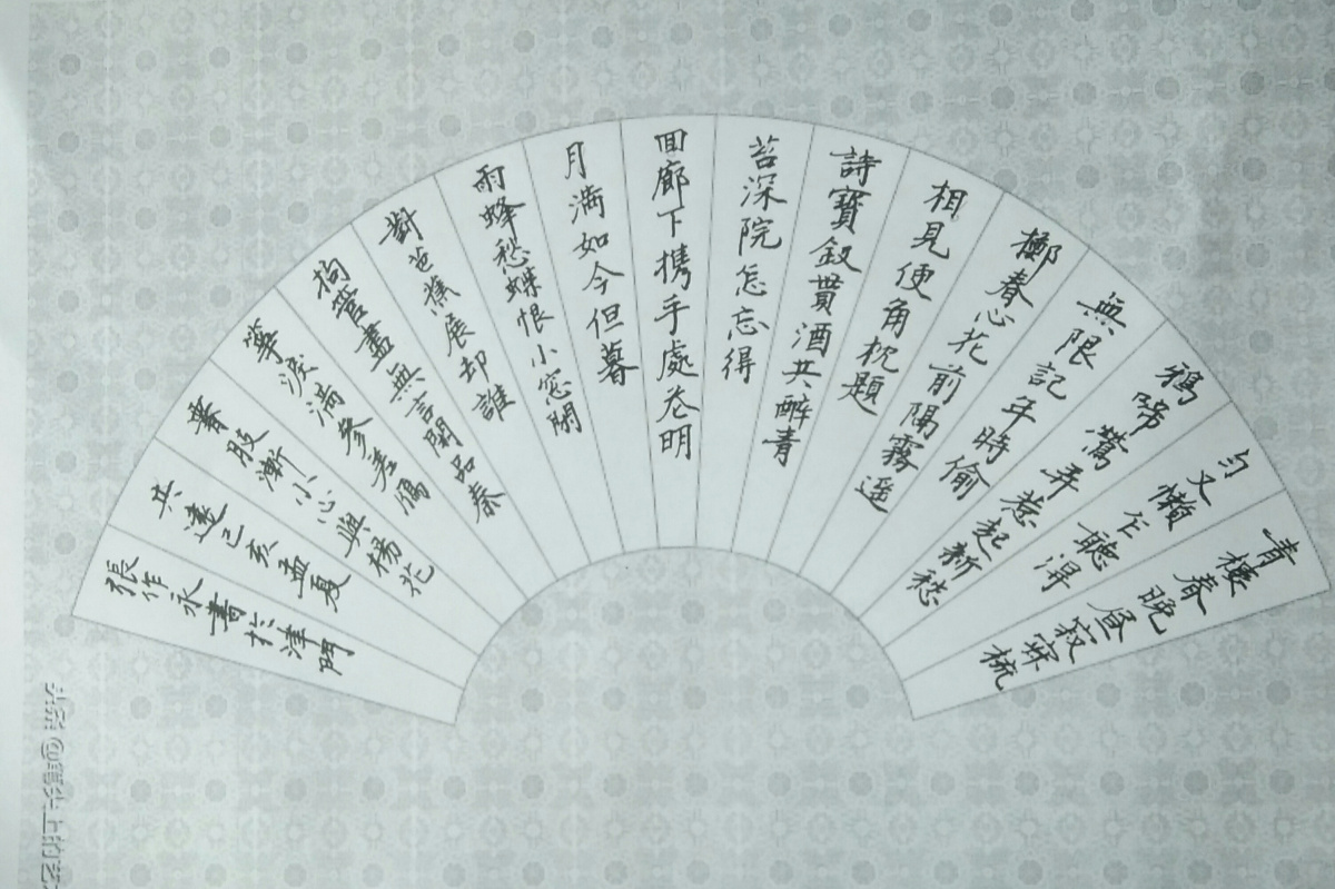 吕渭老《薄幸》每周一篇钢笔字笔友钢笔书法习作欣赏