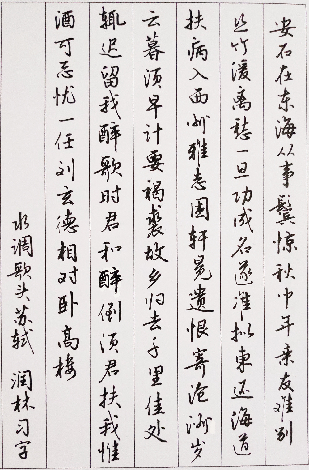 苏轼《水调歌头》每周一篇钢笔字练习笔友钢笔书法习作欣赏