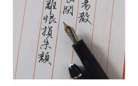 王沂孙《眉妩新月》每周一篇钢笔字练习笔友钢笔书法习作欣赏