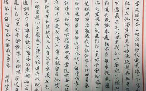 陶喆《蝴蝶》每周一篇钢笔字练习笔友钢笔书法习作欣赏