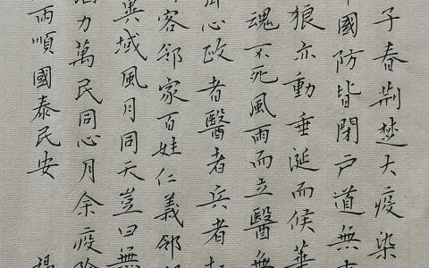 《战疫赋》每周一篇钢笔字练习笔友钢笔书法练字打卡作业欣赏