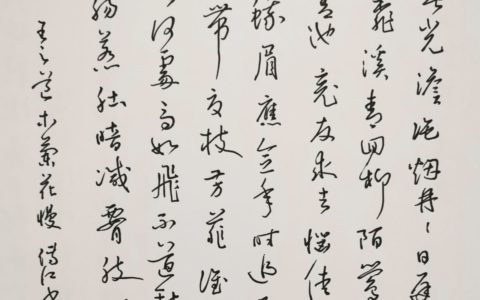 王之道《木兰花慢》钢笔爱好者每周一篇钢笔字打卡练习作业欣赏