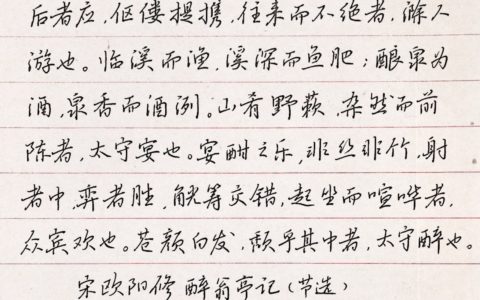 欧阳修《醉翁亭记》选段每周一篇钢笔字练字打卡作业欣赏