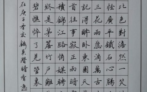 吴潜《暗香》每周一篇钢笔字练字打卡作业欣赏