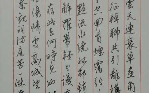 秦观《满庭芳》每周一篇钢笔字练字打卡作业欣赏