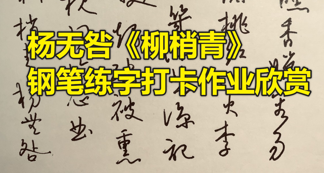 杨无咎《柳梢青》每周一篇钢笔字练字打卡作业欣赏