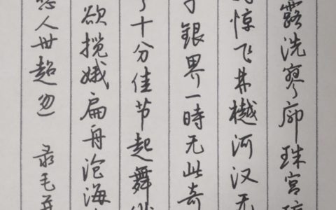 毛幵《念奴娇》每周一篇钢笔字练字打卡作业欣赏