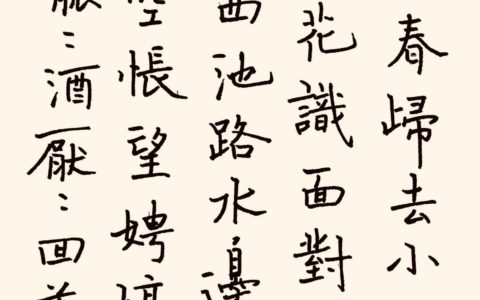 张震《蓦山溪》钢笔字练字打卡作业欣赏