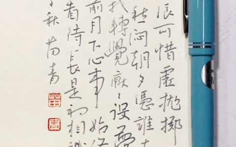 柳永《征部乐》钢笔字练字打卡习作欣赏