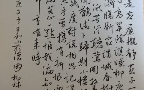 王泳祖《风流子》钢笔字练字打卡作业欣赏