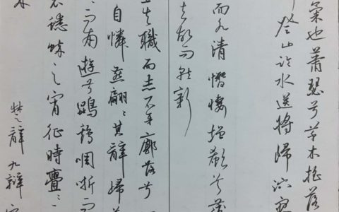 宋玉《楚辞·九辩》钢笔字练字打卡作业欣赏