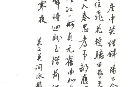 蔡佬点评，吴文英《水龙吟》钢笔字练字打卡作业欣赏