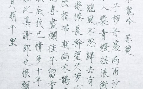 姜夔《水龙吟》钢笔字练字打卡作业欣赏