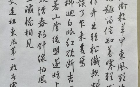 蔡师点评：史达祖《东风第一枝》钢笔字练字打卡作业欣赏