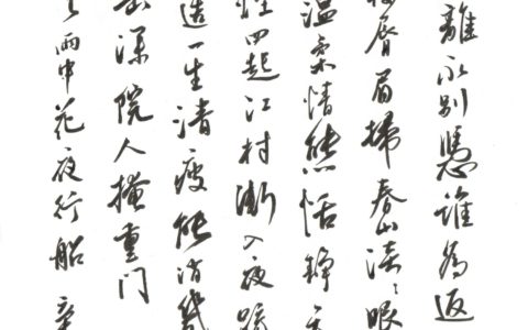 36幅作品，吴礼之《雨中花》钢笔字练字打卡作业欣赏