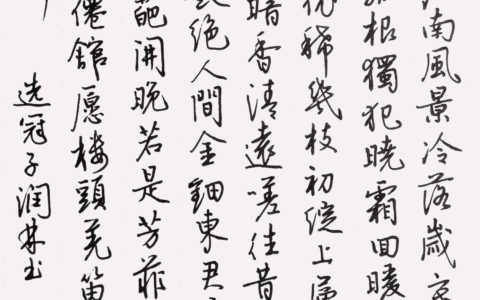 钢笔字练字打卡《选冠子》作业欣赏